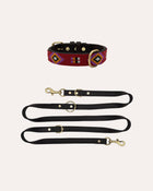 Pack Alma Flame + Leash