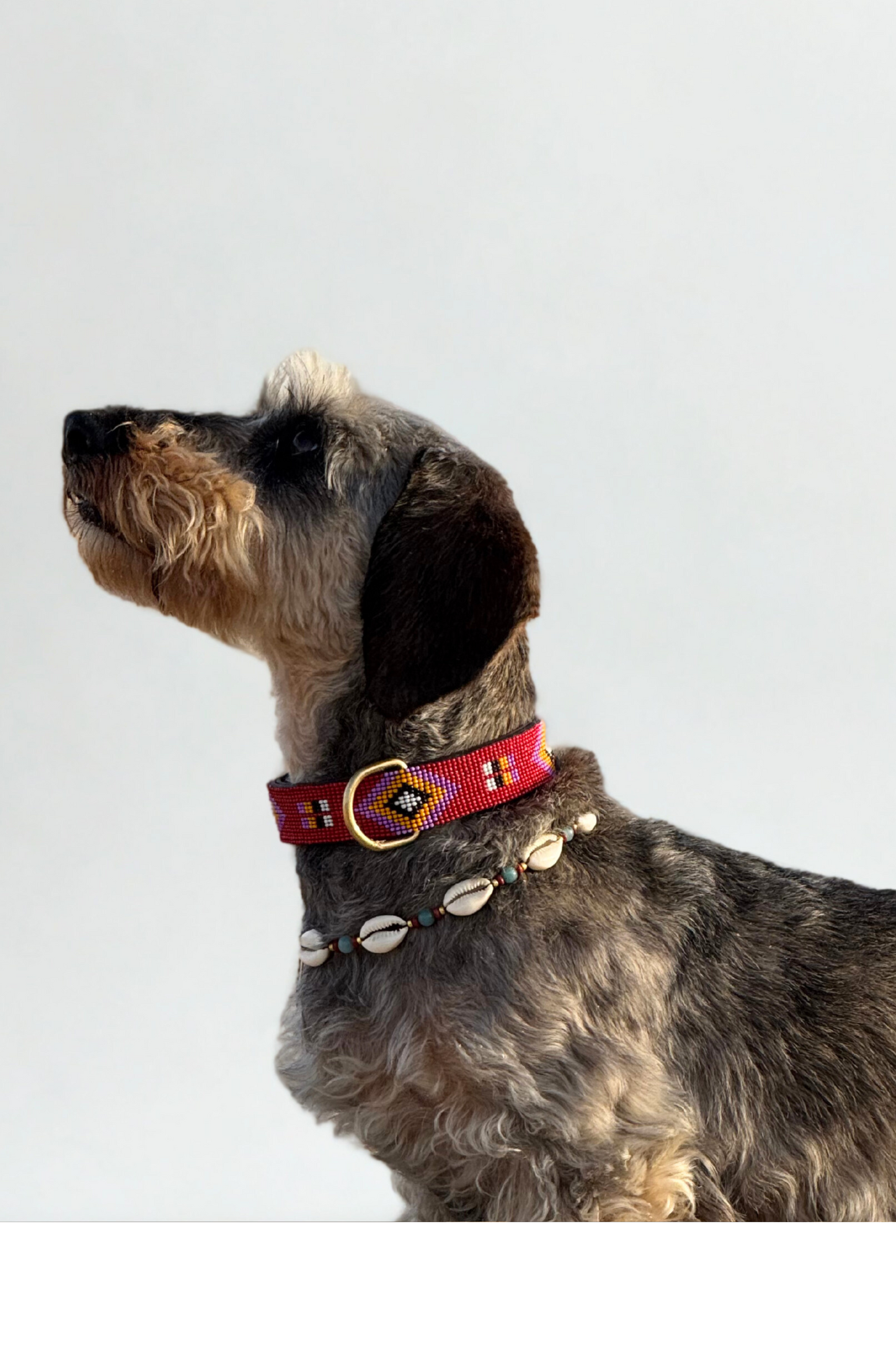 Pack: Collar Rojo + Conchas