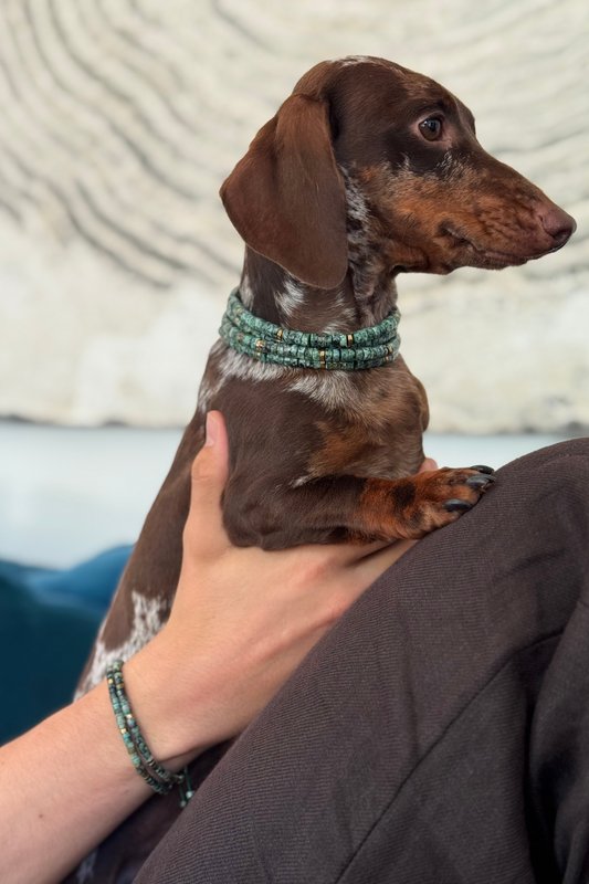 Pulsera de Piedra Verde a juego con tu perro