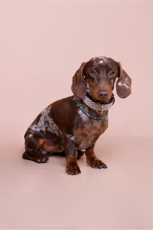 Set: Weiße Halskette + Grüner Stein