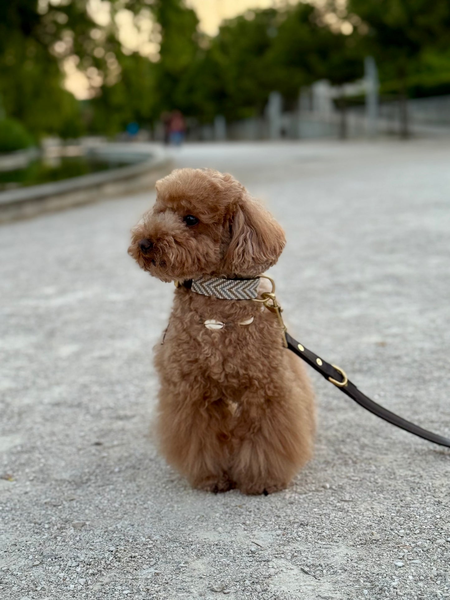 Correa marrón para perro de cuero vegano
