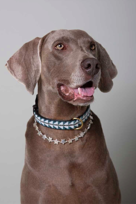 Pack Reliquia - Estrellas