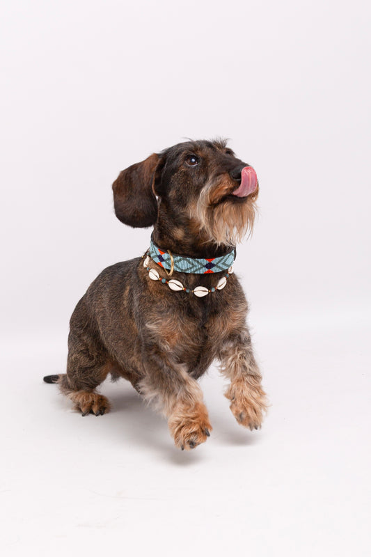 Collar de Beads Azul