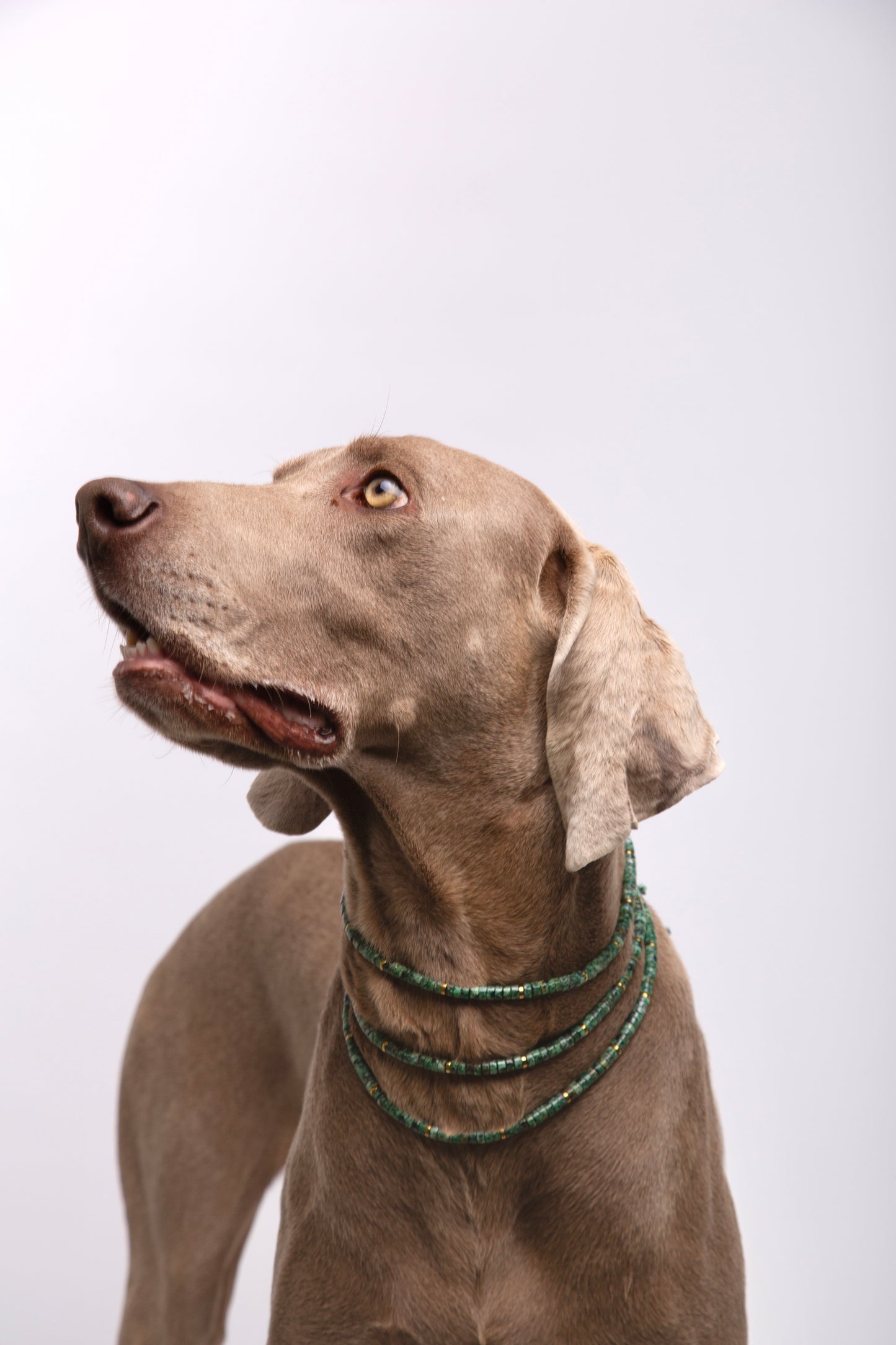 Collar Accesorio de Piedras Verde