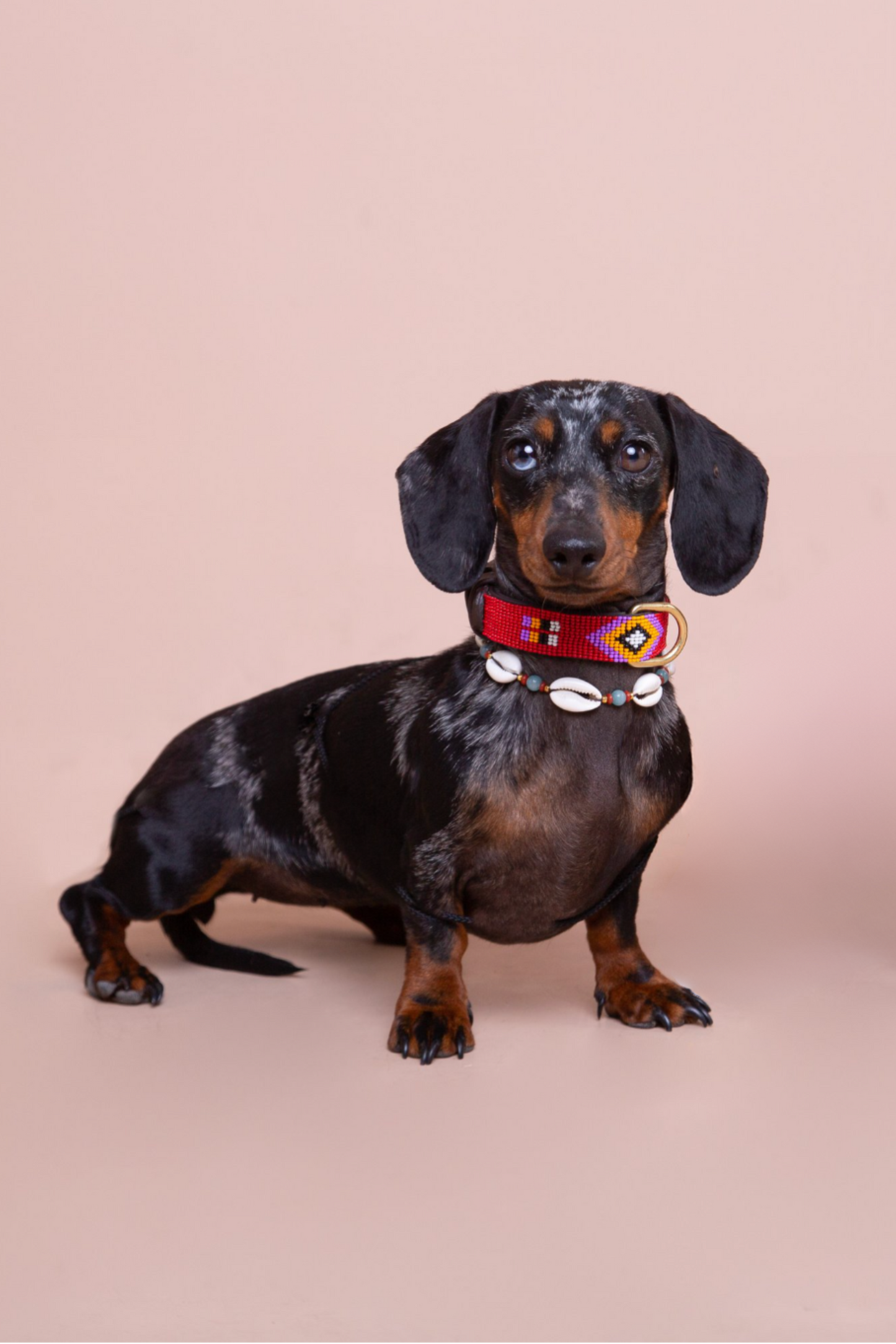 Pack: Collar Rojo + Conchas