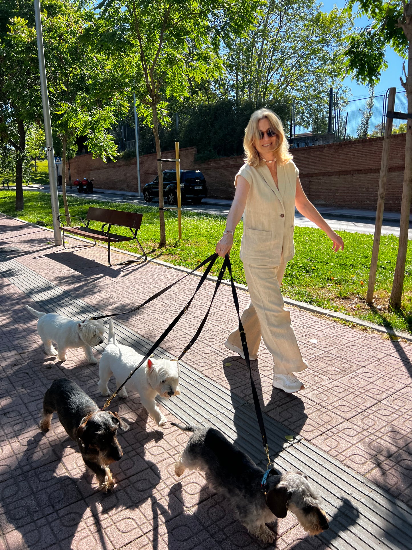 Correa marrón para perro de cuero vegano