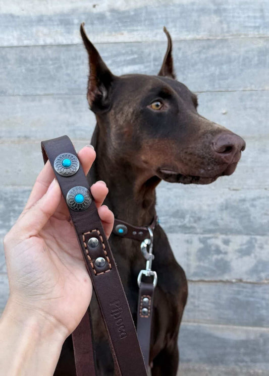 Pack Collar Terra + Correa Terra para perro