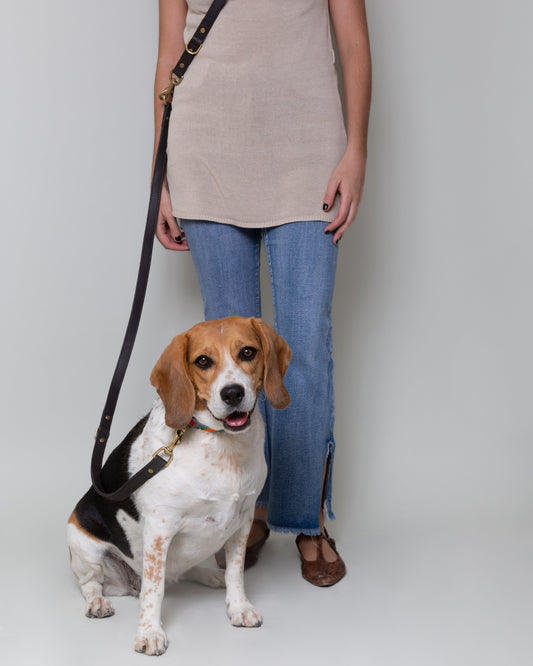 Correa de Cuero para Perro — Multifunción