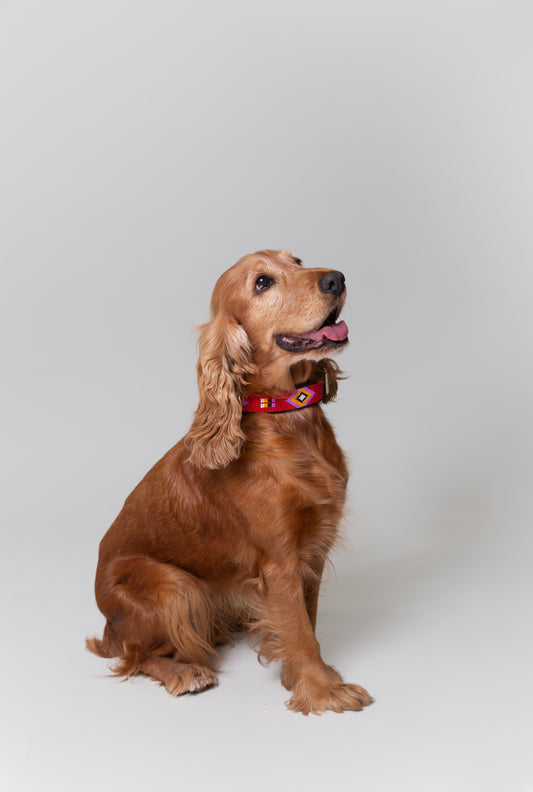 Collar de Beads Rojo