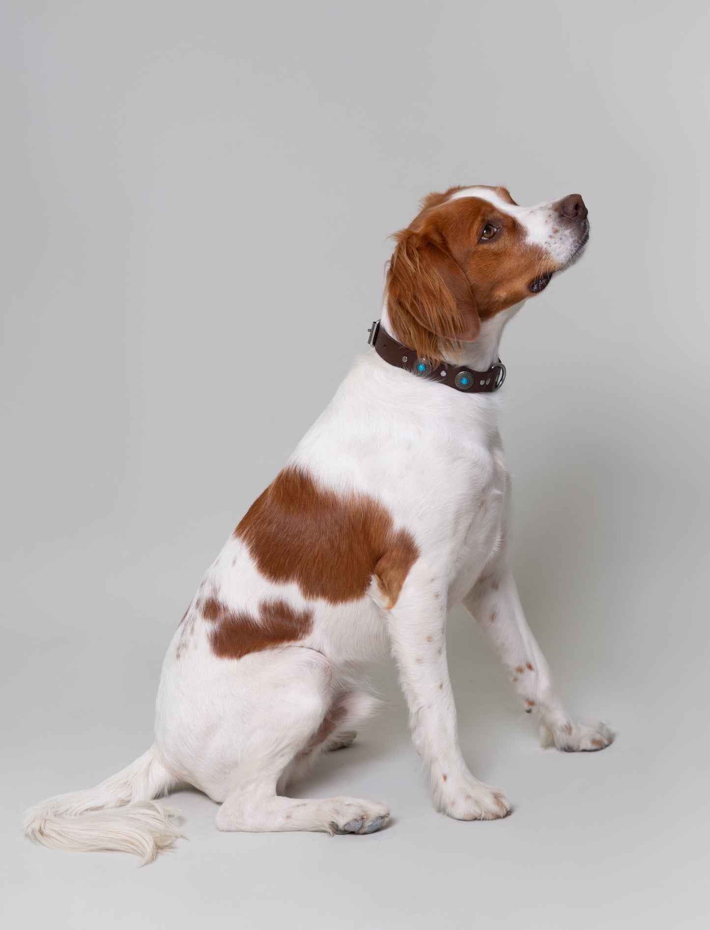 Collar de Tachuelas Turquesa