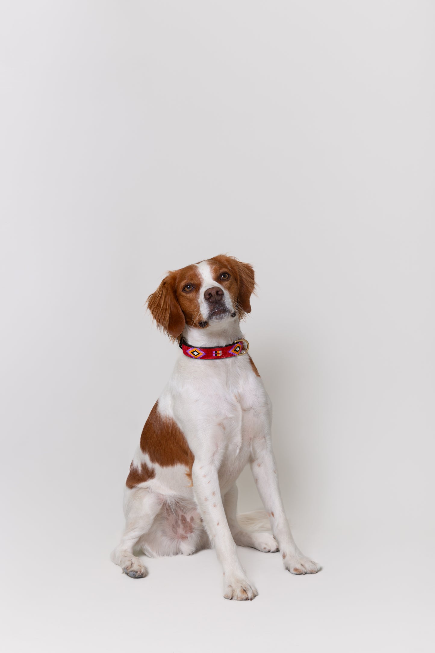 Pack: Collar Rojo + Conchas