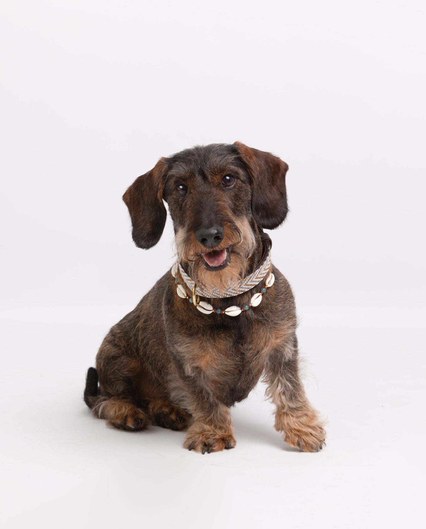 Set: Weißes Halsband + Muscheln