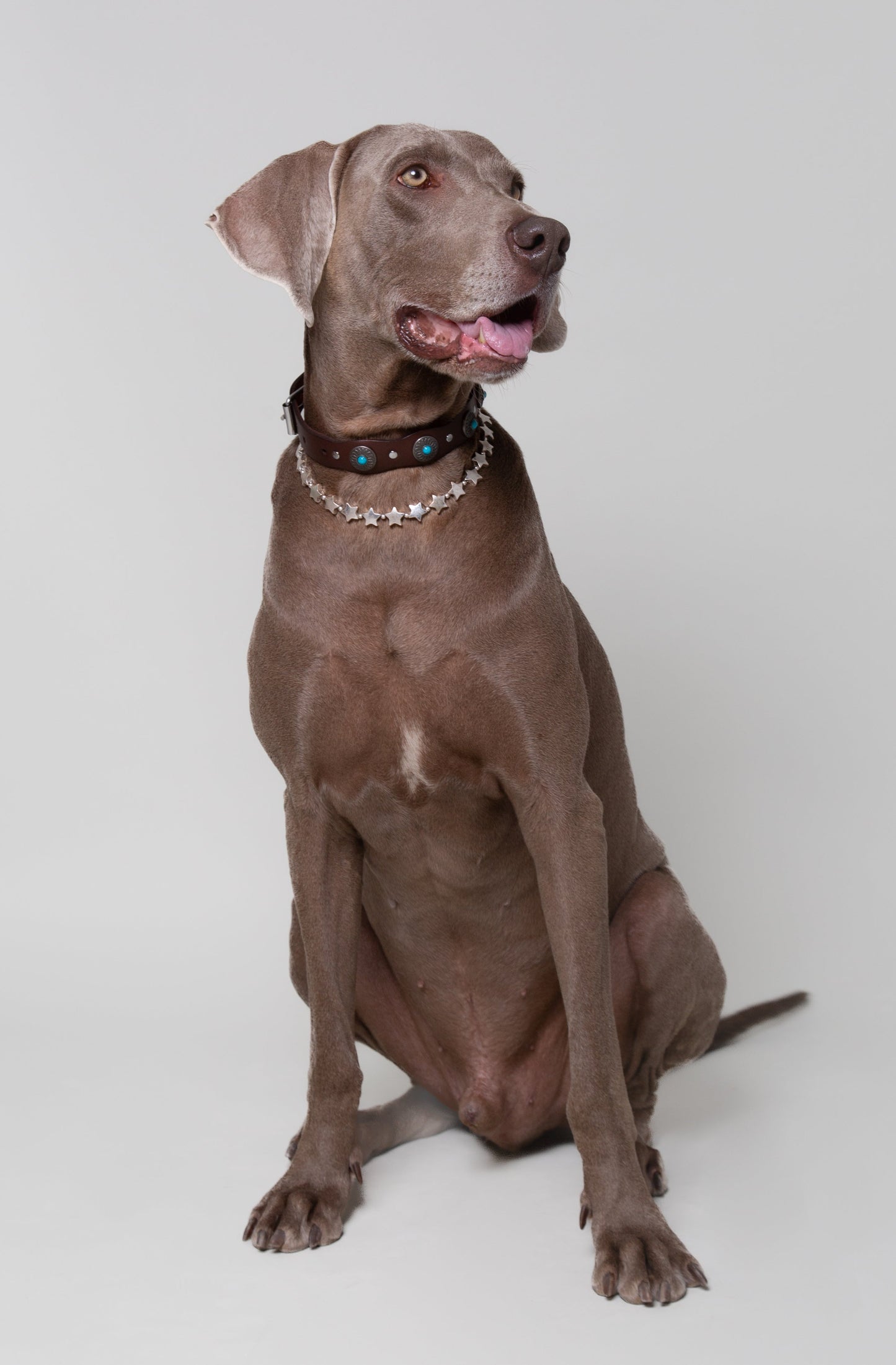 Collar Accesorio Estrellas Plateado