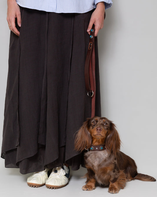 Correa Terra — Cuero con Tachuelas para Perro