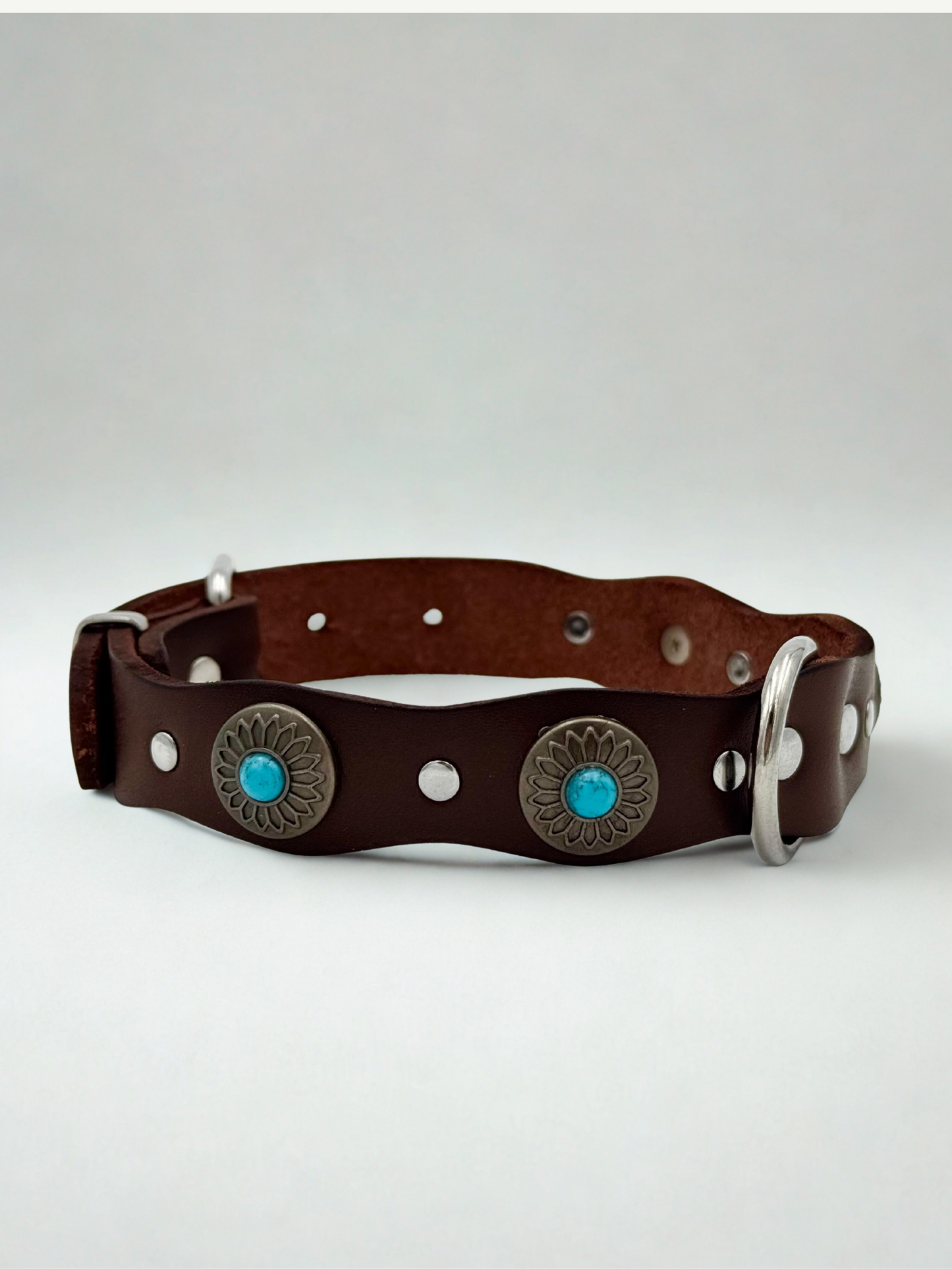 Pack: Collar Tachuelas + Conchas + Correa