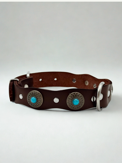 Pack: Collar Tachuelas + Conchas + Correa