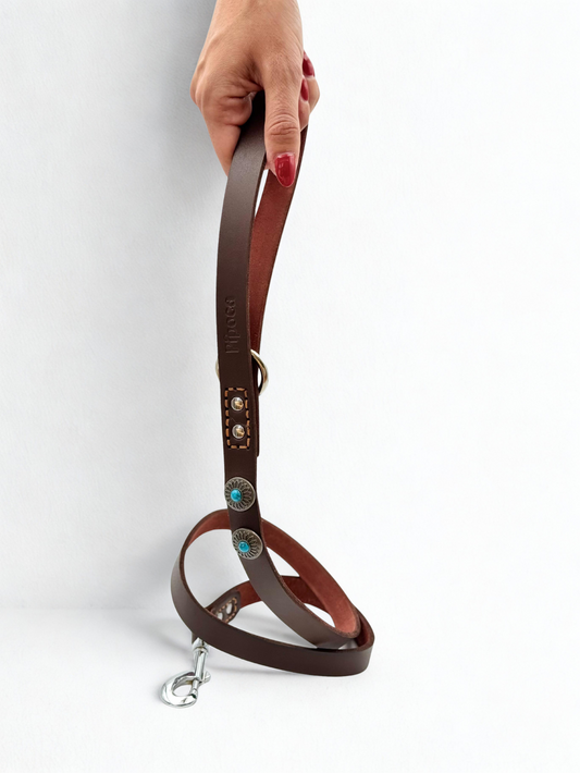 Correa de Cuero Marrón con Tachuelas para Perro (120×2cm)