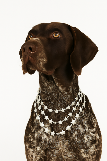 Collar Accesorio Estrellas Plateado
