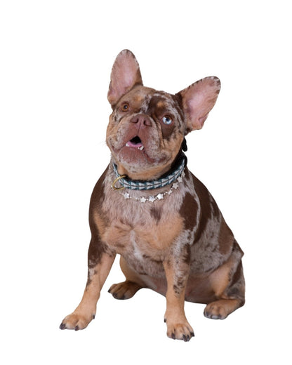 Collar Alma - Relíquia