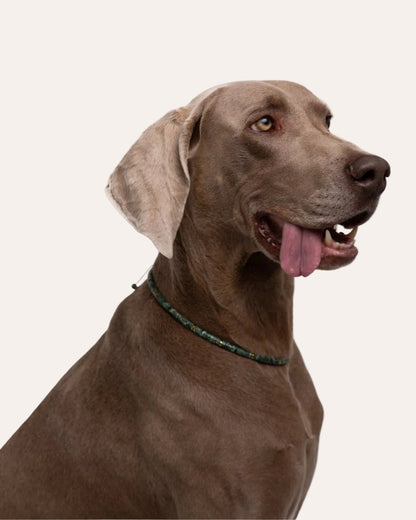 Collar Accesorio - Esmeralda