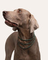 Collar Accesorio - Esmeralda