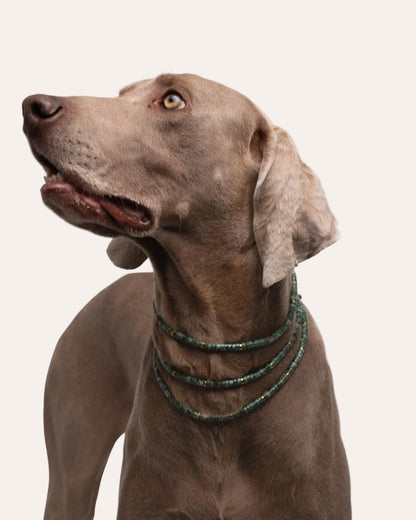 Collar Accesorio - Esmeralda