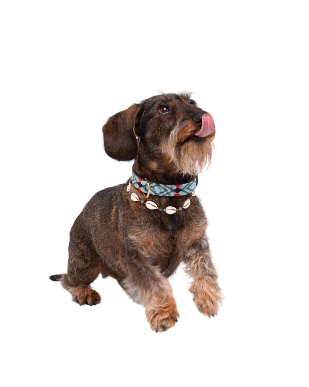 Pack: Blue Collar + Shells