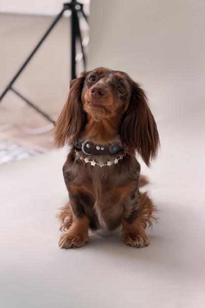 Collar Accesorio Estrellas Plateado