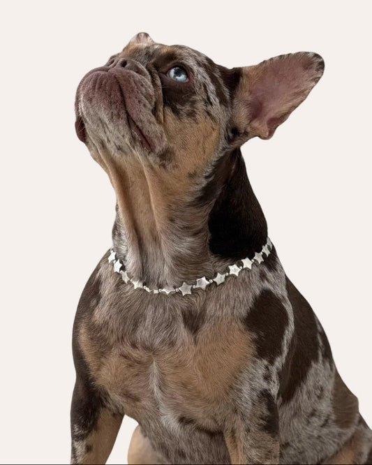 Collar Accesorio - Estrellas