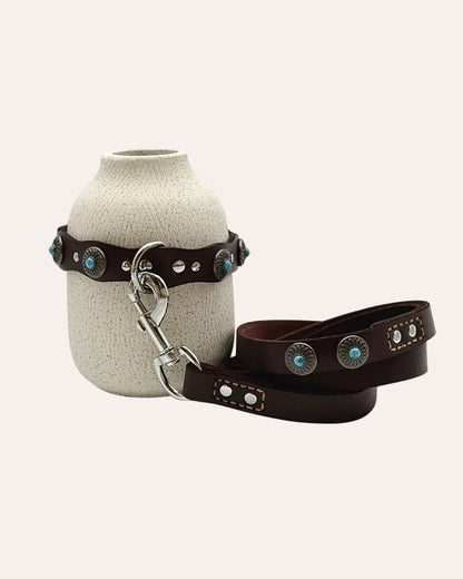 Pack: Studded Collar + Matching Leash