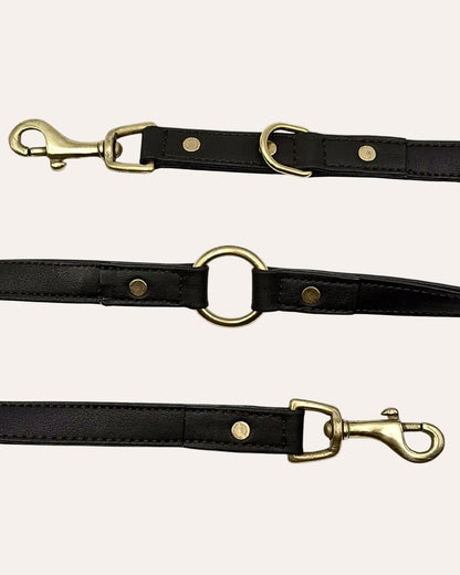 Correa de Cuero para Perro — Multifunción