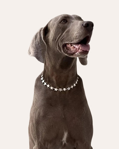 Collar Accesorio - Estrellas