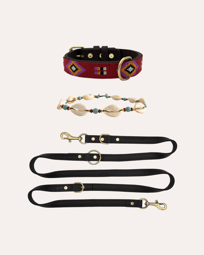 Pack Alma Flame + Shells + Leash