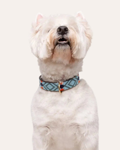 Pack: Blue Collar + Shells