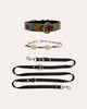 Pack Alma Sunset Love + Shells + Leash
