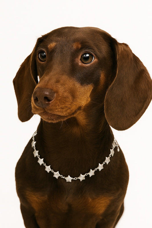 Collar Accesorio Estrellas Plateado