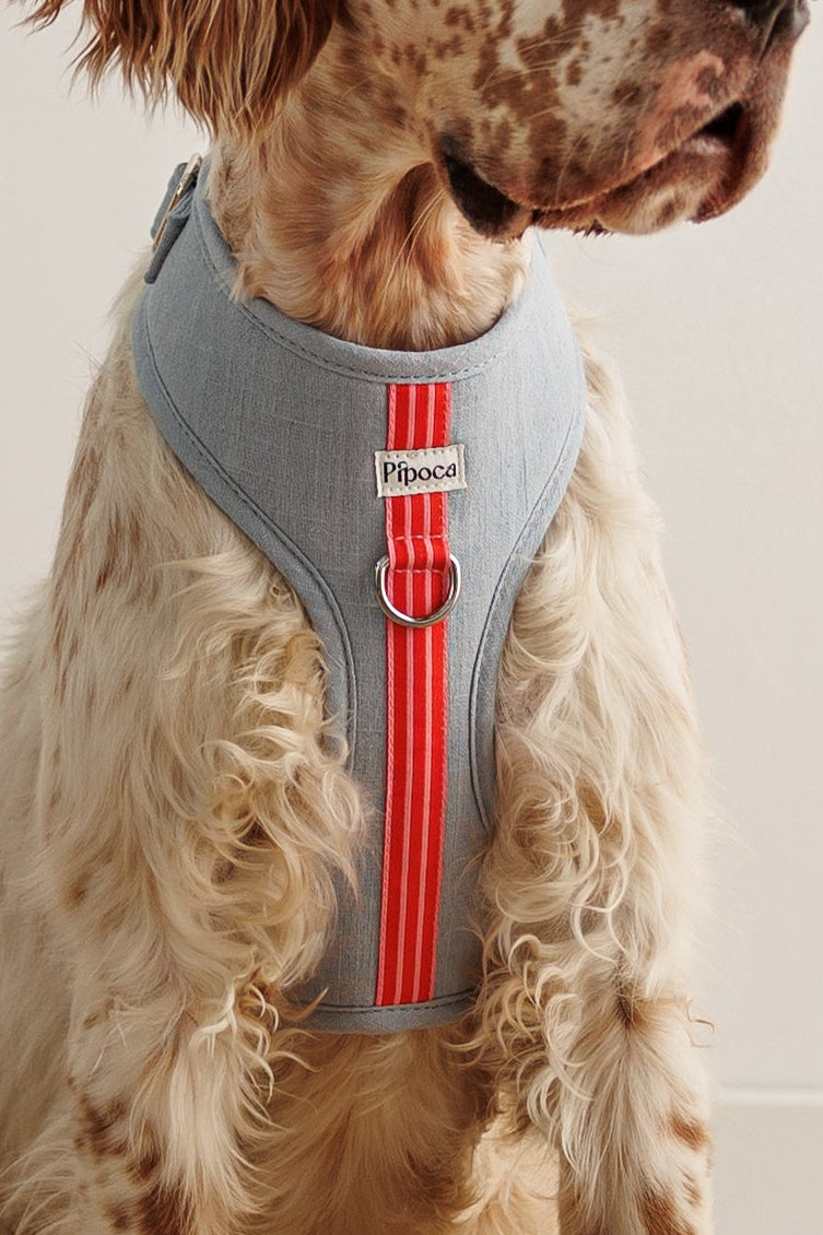 Arnés Nuua — Sunday