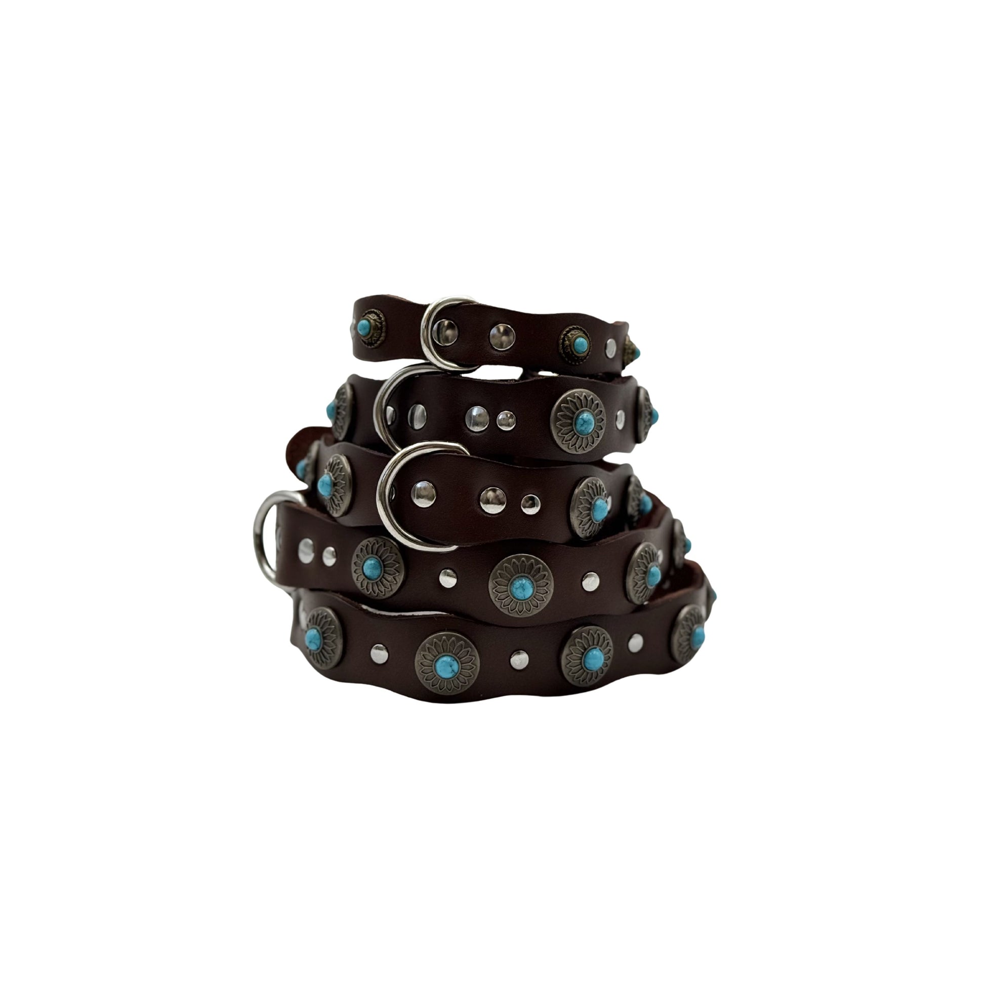 Collar Terra de cuero y tachuelas para perro
