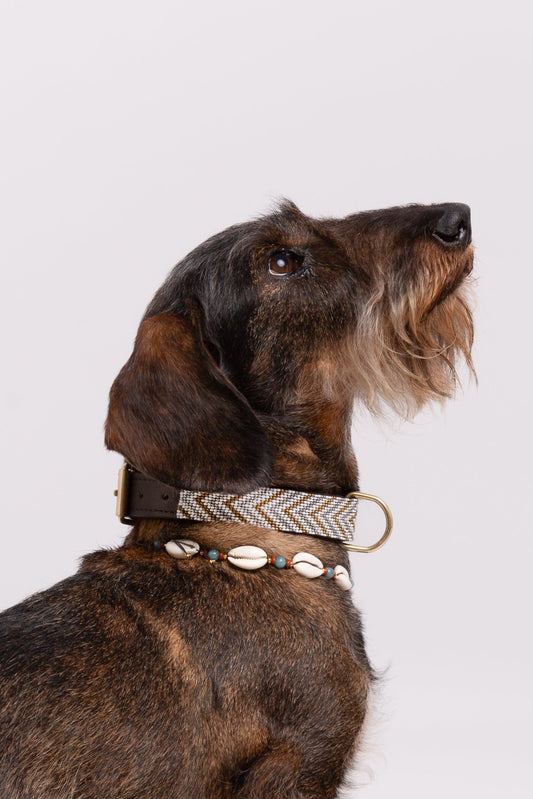 Pack: Collar Blanco + Conchas