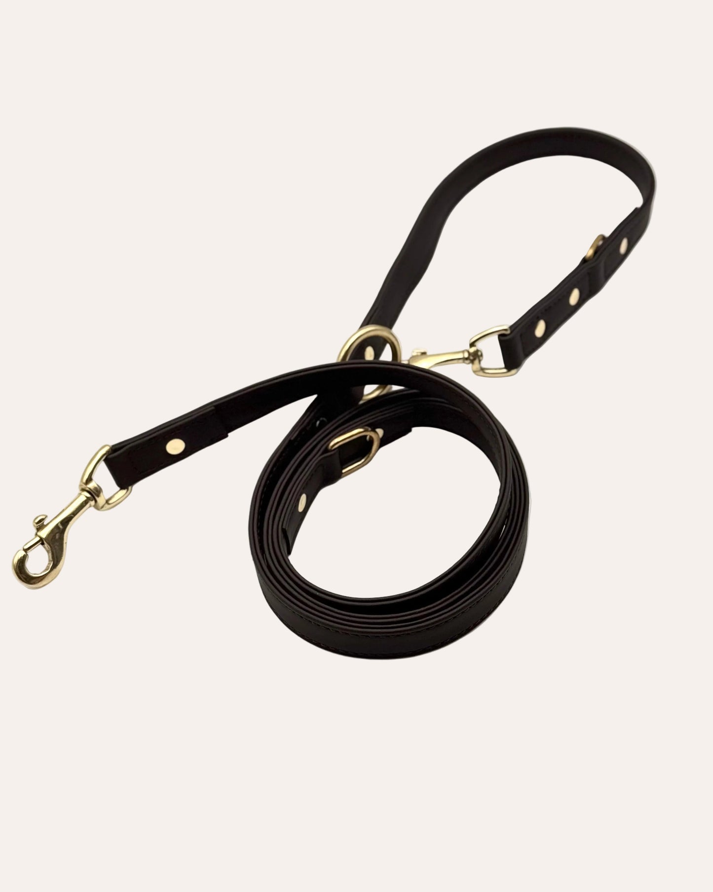 Correa de Cuero para Perro — Multifunción