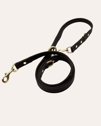 Correa de Cuero para Perro — Multifunción