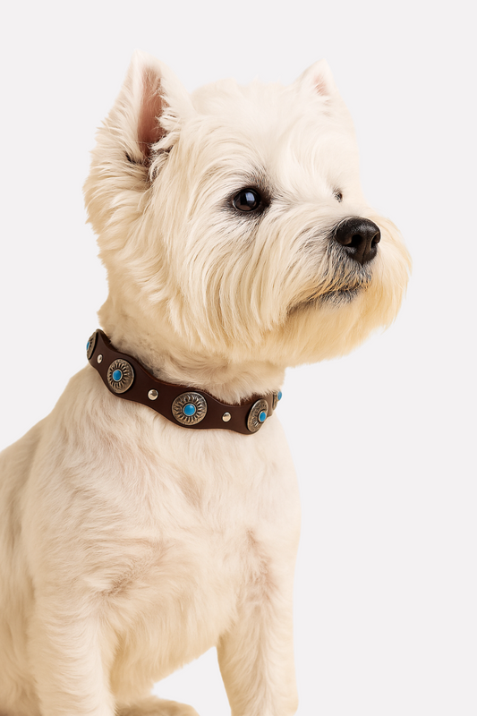 Collar de Tachuelas Turquesa