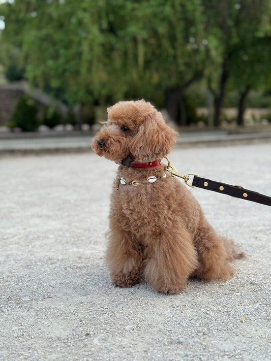 Correa marrón para perro de cuero vegano