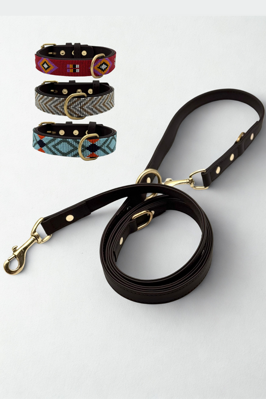Pack – Collar + Correa