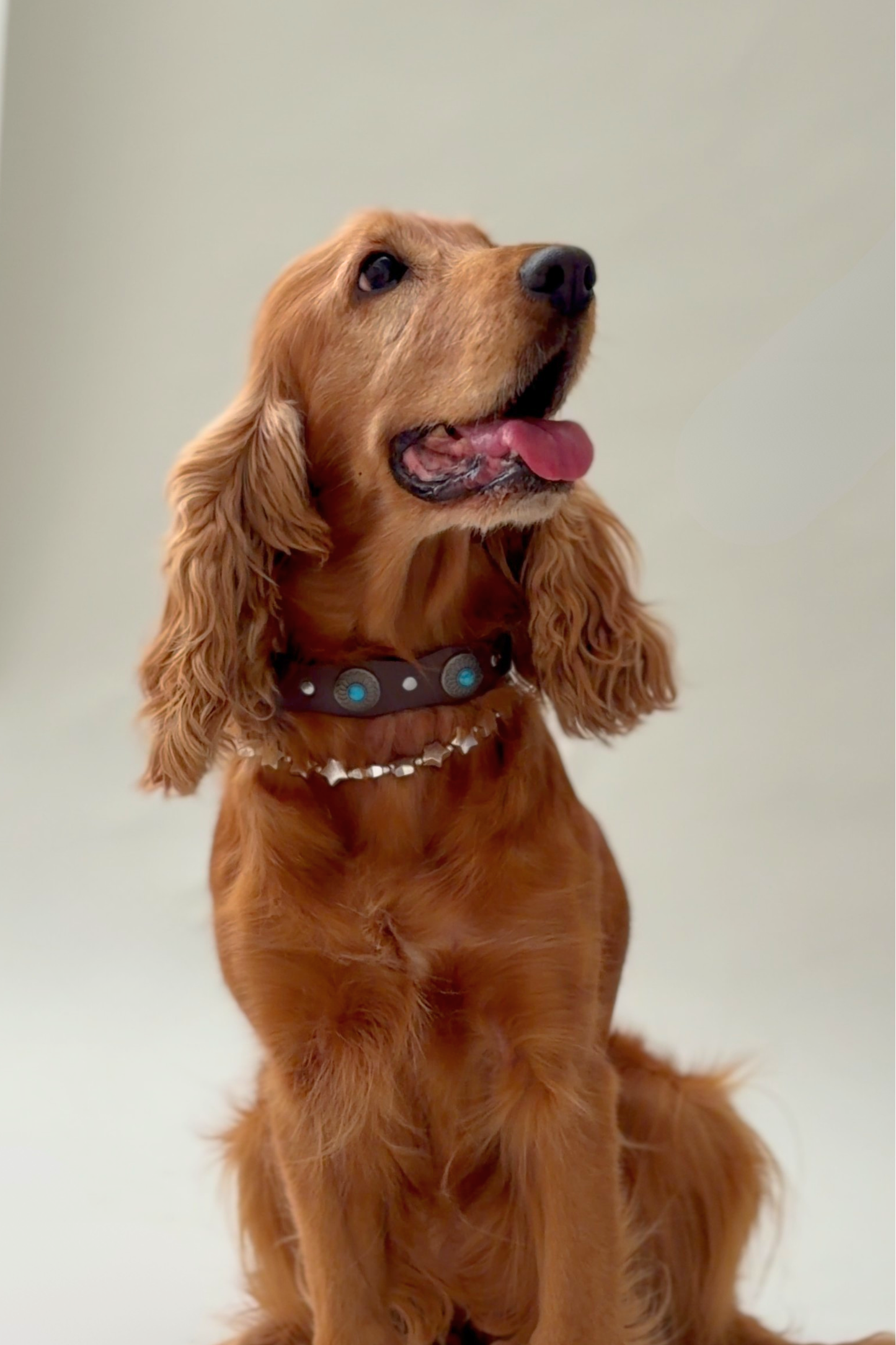 Pack: Tachuelas + Estrellas