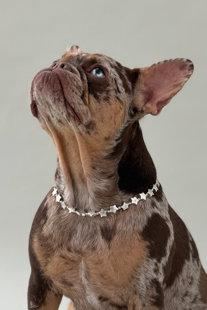 Collar Accesorio Estrellas Plateado