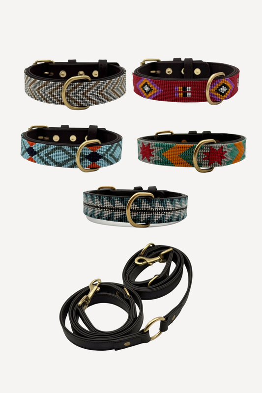 Pack – Collar + Correa