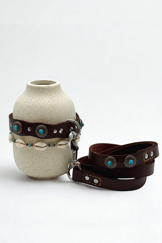 Pack: Collar Tachuelas + Conchas + Correa