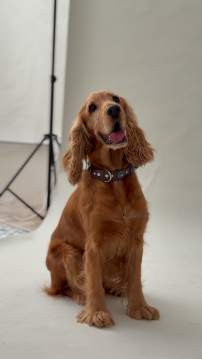 Pack: Collar Tachuelas + Conchas