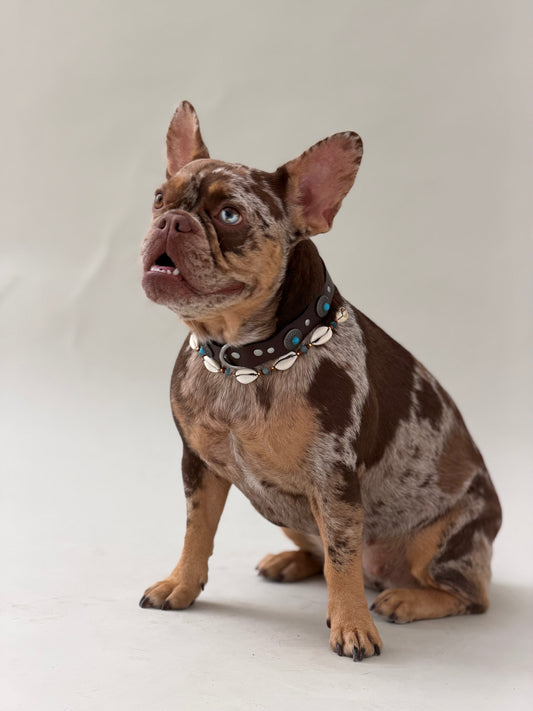 Pack: Collar Tachuelas + Conchas